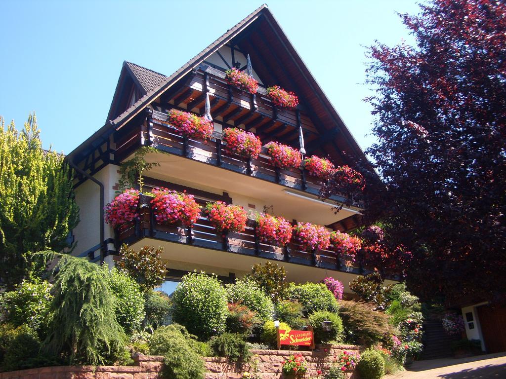 Landhaus Schneider Sasbachwalden Buitenkant foto